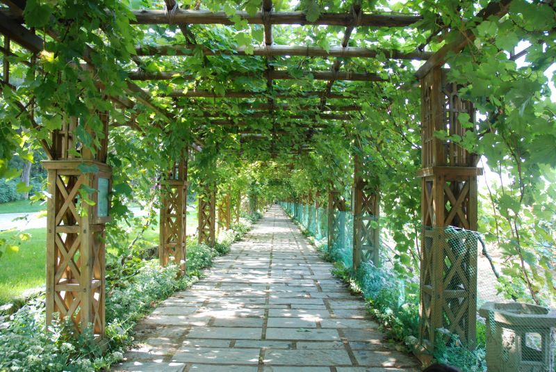 Wood Trellis Installation in Kansas City, KS