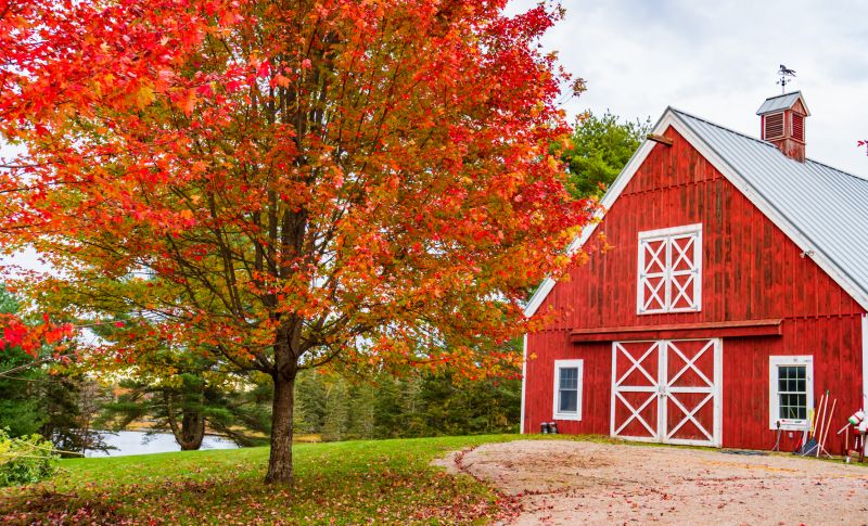 Barn Installation in Conroe, TX