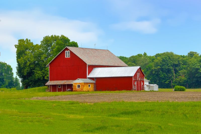 Barn Renovation in Alpharetta, GA