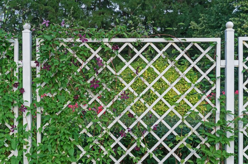 Fence Trellis Installation in Wilmington, NC
