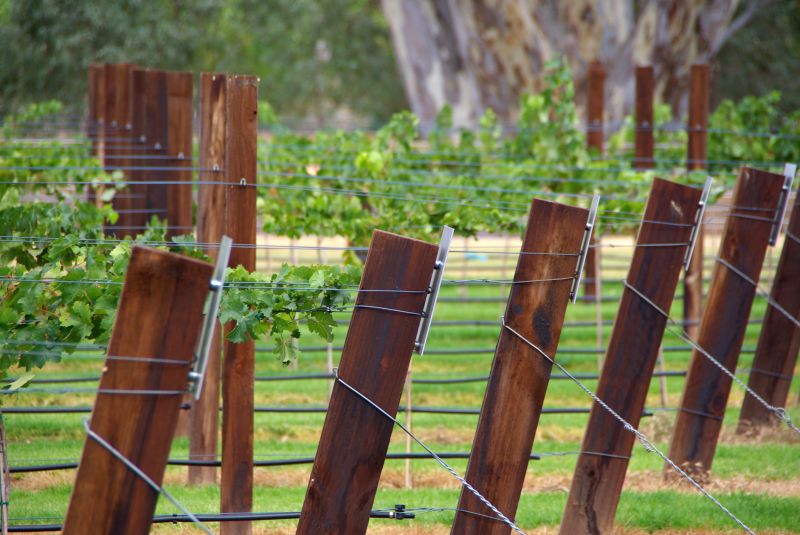 Fence Trellis Installation in Conroe, TX
