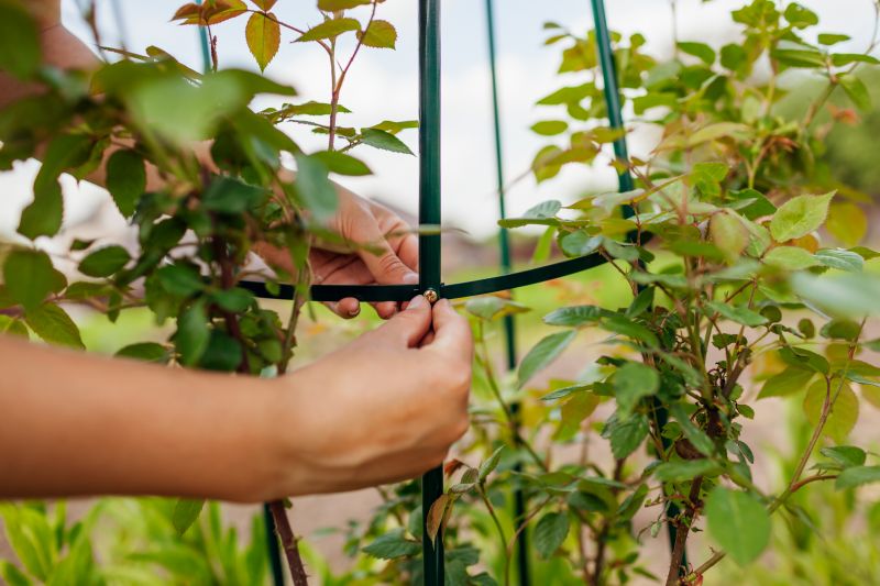 Garden Trellis Installation in Conroe, TX