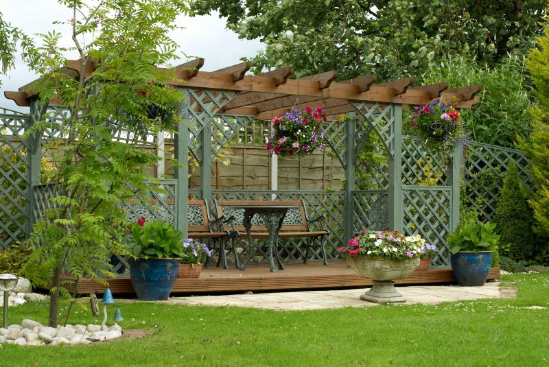 Grape Trellis Installation in Conroe, TX