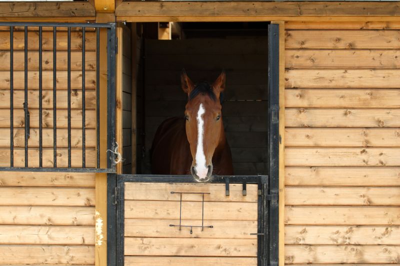 Horse Stall Repair in Conroe, TX