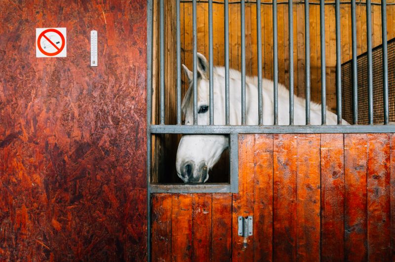 Horse Stall Repair in Olathe, KS
