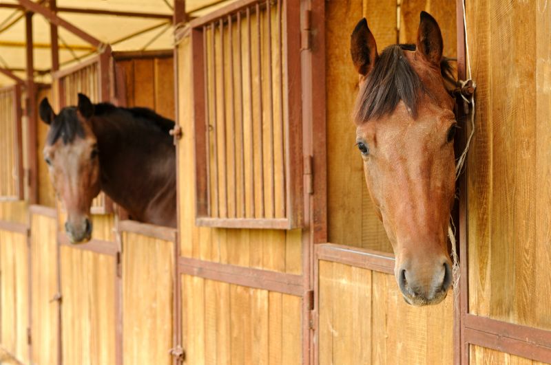 Horse Stall Repair in Alpharetta, GA
