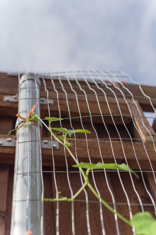 Trellis Construction in Conroe, TX