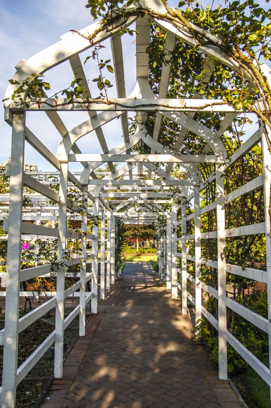 Trellis Construction in Wilmington, NC