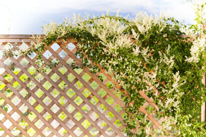 Trellis Construction in Wilmington, NC