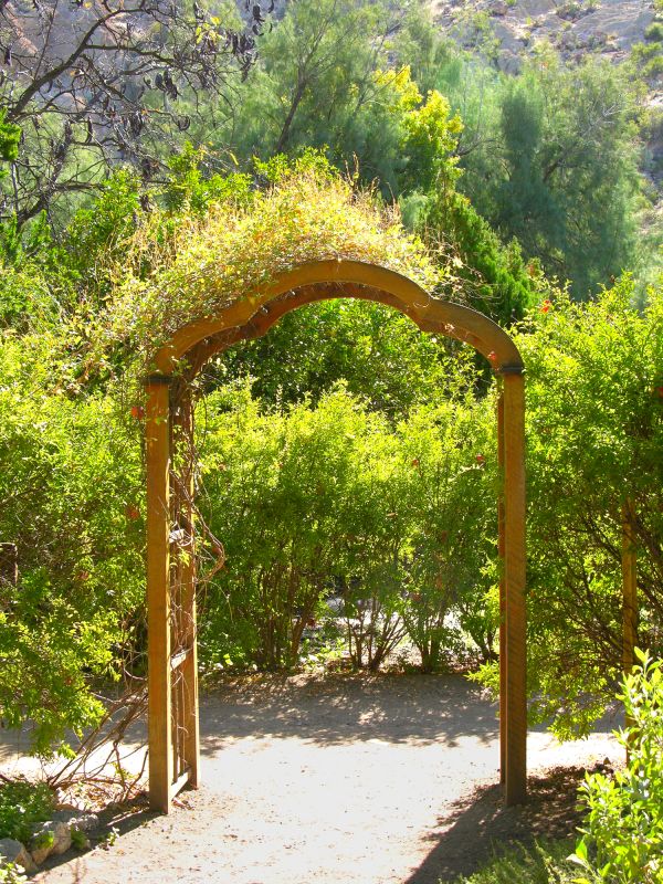 Wood Arbor Construction in Wilmington, NC